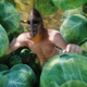 Illustration for article titled The Magic of Skyrim Mods: A Naked Man Swimming in Cabbage